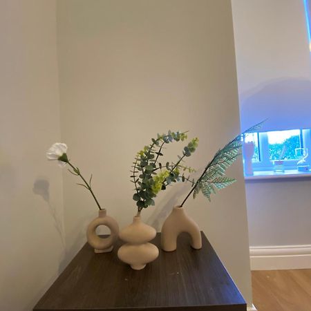 דבלין Extra Large Room In New House At Citywest מראה חיצוני תמונה